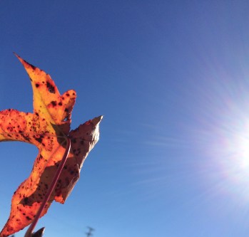 FullSizeRender 10.jpg